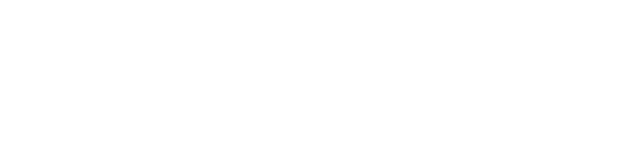 Bosphorus X havuz kapatma sistemi logosu